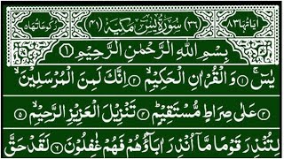 Surah Yaseen  Surah Rahman beautiful recitation Ep 413  tilawat  yaseen sharif beautiful voice [upl. by Aneetsirhc445]