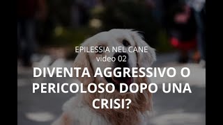 EPILESSIA NEL CANE 2 Puo diventare aggressivo o pericoloso dopo una crisi [upl. by Ecilahs]