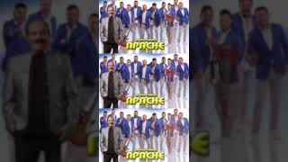 Tropicalisimo Apache Mix 2024  Cumbias Para Bailar [upl. by Yentrac]