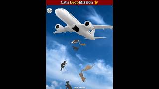 Cats Dropping Mission on Borneo island 🏝️ shorts [upl. by Emelita]