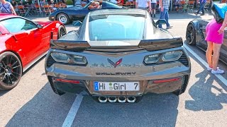 Chevrolet Corvette Motorworld Germany Stuttgart Böblingen 4K Встреча корветов [upl. by Aed]