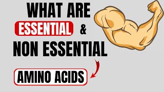 What are essential amino acids  What are nonessential amino acids [upl. by Worth]