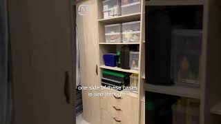 Home organization ideas Visiting a professional organizer [upl. by Atterahs]