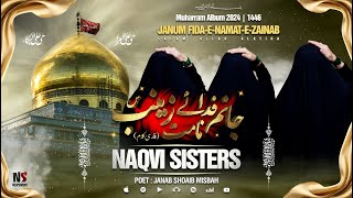 Janam Zainab Sa  Noha 2024  Naqvi Sisters  Bibi Zainab Sa Noha  Rab E Wafa Presents [upl. by Ymot]