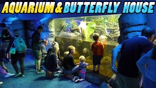 AQUARIUM AND BUTTERFLY HOUSE  Whipsnade Zoo  England 4k [upl. by Yalc]