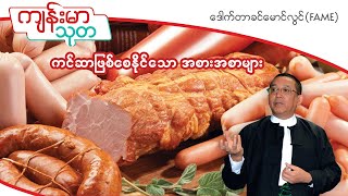 ကင်ဆာဖြစ်စေနိုင်သောအစားအစာများ Cancer Causing Foods  Dr Khin Maung Lwin FAME [upl. by Ahsayn]