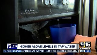 Tempe residents complain of smelly water officials say algae is to blame [upl. by Alberta]