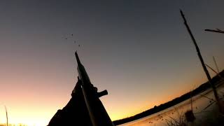 Late Season Duck Hunting in East Texas [upl. by Ahsinej]