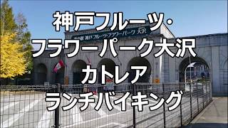 【神戸レストランカトレア ランチバイキング】神戸フルーツフラワーパーク大沢のホテル内にあるカトレアのランチバイキングの動画です お手頃価格でお風呂セットも選べます [upl. by Rafi]