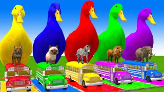 5 Giant Duck CartoonCowElephantTigerLionGorilla Paint Wild Animals Crossing Fountain Animation [upl. by Atsyrc]