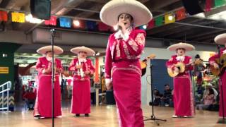 Mariachi Flor de Jalisco  El Herradero [upl. by Tu]