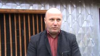 Oprea Florentin UCPR Dambovita prezentare porumbei campioni 22 nov 2014 part 1 [upl. by Nuhsed]