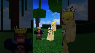 Help admin and roblox doge bloxfruits [upl. by Aurthur]