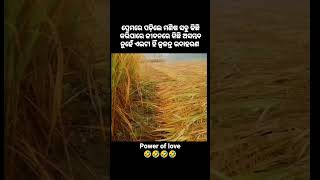 Shortstatus  power of love love statusviral status  sad status new song hindi odiasong love [upl. by Aneeb]