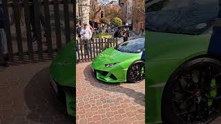 Lamborghini Hurucan🐍 lamborghini lamborghinihuracan viralvideo shorts [upl. by Irrej]