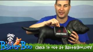 EzyDog Convert Dog Harness [upl. by Yorgos]