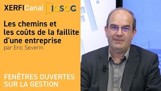 Les chemins et les coûts de la faillite dune entreprise Eric Severin [upl. by Mihe]