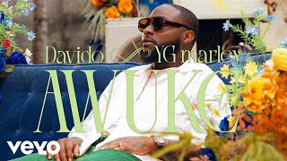 Davido YG Marley  Awuke Official Video [upl. by Aset142]