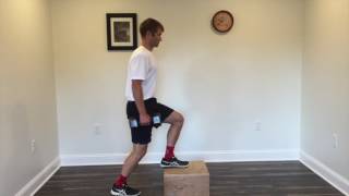 Single leg step up with dumbbells [upl. by Edaw]