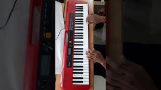 Casio CTS200 Tones Overview  RDX Music Store 9074419099 [upl. by Cilurzo]