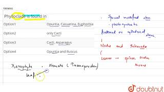 Phylloclade is found in [upl. by Seadon]