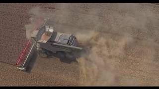 Norfolk wheat harvest 2016 and a CLAAS combine harvester at work Aerial drone filming by Graeme Ta [upl. by Eadahs]