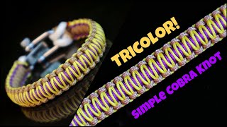 TRICOLOR HOW TO MAKE COBRA KNOT PARACORD BRACELET WITH SHACKLE EASY PARACORD TUTORIAL [upl. by Rekoob]