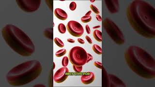 FACTS ABOUT RBCs facts info biology shorts subscribe viralreels 100kviews 1000subscriber [upl. by Yekim609]