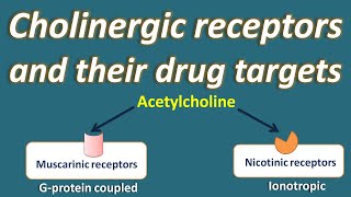 Cholinergic receptors and their drug targets [upl. by Assirolc]