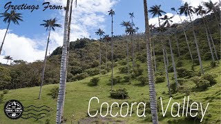 Cocora Valley drone footage tallest palm trees in the world  Trek with Tech [upl. by Nytsirt]