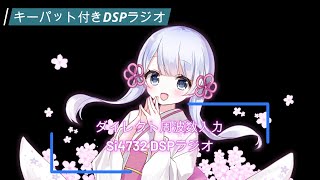 DSPラジオにキーパットを付けて、ダイレクト選局を可能にしてみた！ [upl. by Akcirre167]