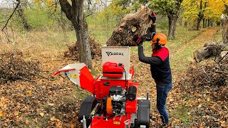 💎You have not Seen This Before Universal Wood Chipper Shredder [upl. by Ilellan]