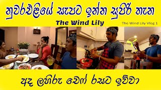 අපේ ෆැමිලි එක නැවතුන සුපිරි මන්දිරය 😍 Chicken Fried Rice With Chicken Devil 👍 The Wind Lily [upl. by Atinniuq]