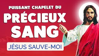 🙏﻿ CHAPELET du PRÉCIEUX SANG de JÉSUS 🙏﻿ Prière Puissante PROTECTION [upl. by Ecirum]