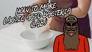 How To Make Lactic Acid Bacteria LAB For Gardening  Soil Probiotics And Fertilizer [upl. by Nahtnanhoj]