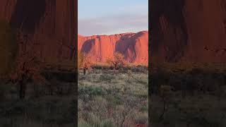 Monte Uluru rosseggiante allalba [upl. by Arline]