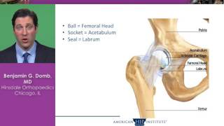 Hip Arthroscopy [upl. by Joh]