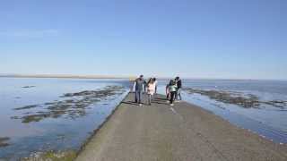 Lindisfarne Holy Island Causeway Tide Timelapse [upl. by Rotkiv]