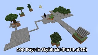 100 Days in Skyblock Days 110 [upl. by Animas]