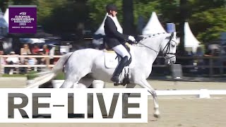 RELIVE  Team Grade III  FEI Para Dressage European Championships 2023 [upl. by Maddocks808]