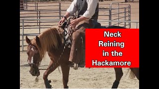 Neck Reining in a Hackamore [upl. by Calvo]