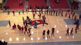 Palatine High School vs Conant High School Womens Varsity Basketball [upl. by Eardnaed]