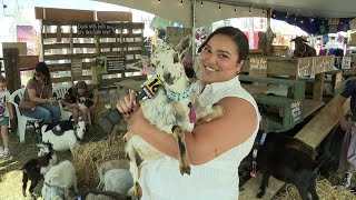 Preview Day at the Bloomsburg Fair [upl. by Bui868]