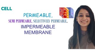 PermeableSemi PermeableSelectively PermeableImpermeable MembraneDifferenceCell [upl. by Idnal]