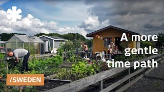 On life work amp leisure in first Swedish tiny house allotment [upl. by Roel]