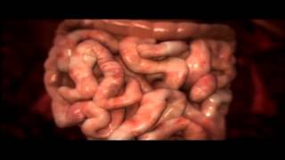 LIMPIEZA INTESTINAL Y SU IMPORTANCIA EN NUESTRO ORGANISMO [upl. by Ydissac]