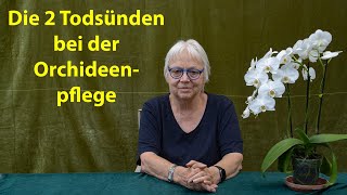 Orchideen Pflege richtig gemacht – Bei der Orchidee ist manchmal weniger mehr [upl. by Ahsait]