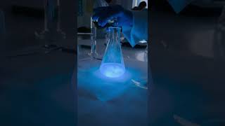 Luminol reaction [upl. by Vaughan]