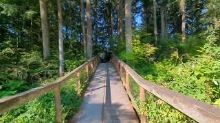 trail in Sammamish near Issaquah and Seattle [upl. by Schild]