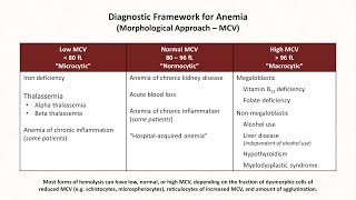 Anemia Lesson 1  Diagnostic Frameworks [upl. by Lidia]